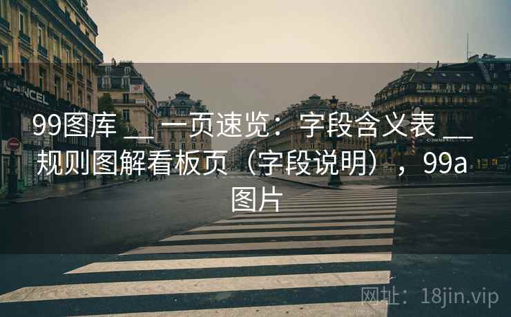 99图库 __ 一页速览：字段含义表 __ 规则图解看板页（字段说明），99a 图片